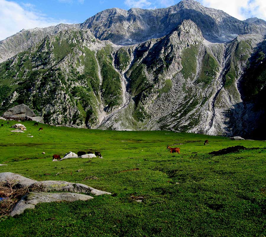 Baboon Top, Karen, Sharda