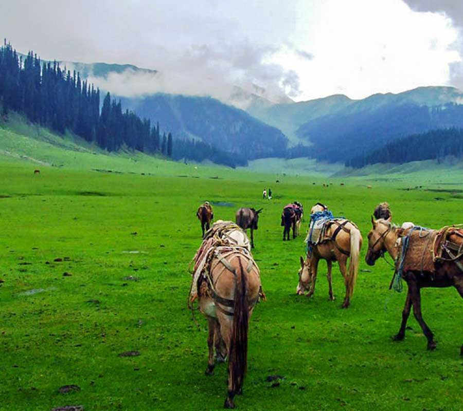 Noon Bagla, Dao Khan, Ganga Choti